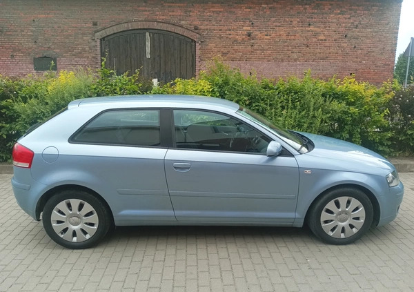 Audi A3 cena 18800 przebieg: 225000, rok produkcji 2006 z Wysokie Mazowieckie małe 407